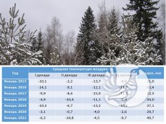 О погоде в заповеднике "Присурский": Январь 2021