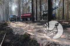 С 8 августа ведется тушение лесного пожара в заповеднике «Присурский»