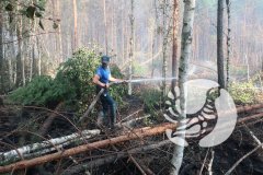 С 8 августа ведется тушение лесного пожара в заповеднике «Присурский»