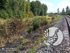 25 августа ликвидировано возгорание травы в полосе отчуждения участка Горьковской железной дороги (ГЖД)