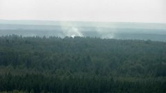25 августа ликвидировано возгорание травы в полосе отчуждения участка Горьковской железной дороги (ГЖД)