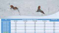 О погоде в заповеднике "Присурский": ноябрь 2022