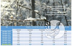 О погоде в заповеднике "Присурский": декабрь 2022