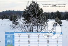 О погоде в заповеднике "Присурский": Январь 2023
