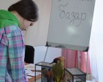 � �������� ����