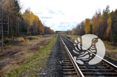 По требованию заповедника «Присурский» Горьковская железная дорога взялась за наведение порядка