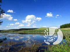 В заповеднике "Присурский" появились первые мигранты В заповеднике "Присурский" появились первые мигранты