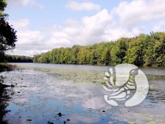 ������� �������� � ��������� ��������: ��� �� �� ������ ���������� ��� ����������� �����?