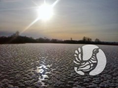 �������������� �������: ������ 2019
