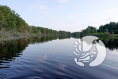 На дне (как донные отложения в озерах Чувашского Присурья обеспечивают благоприятные условия для выхухоли) На дне (как донные отложения в озерах Чувашского Присурья обеспечивают благоприятные условия для выхухоли)