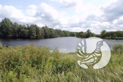 На дне (как донные отложения в озерах Чувашского Присурья обеспечивают благоприятные условия для выхухоли) На дне (как донные отложения в озерах Чувашского Присурья обеспечивают благоприятные условия для выхухоли)