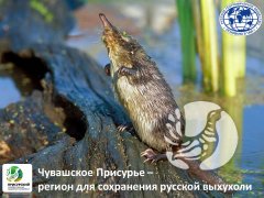 �� ��� (��� ������ ��������� � ������ ���������� �������� ������������ ������������� ������� ��� ��������)