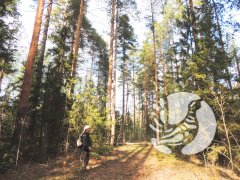 «Затерянный мир» заповедника «Присурский» и другие майские впечатления (часть вторая) «Затерянный мир» заповедника «Присурский» и другие майские впечатления (часть вторая)