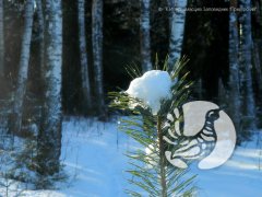� ������ � ����������� "����������": ������� 2020