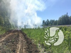 ���������� �����������: �� ���� ����� �����������  � ������ �����