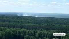 Заповедник «Присурский»: не дали искре разгореться в лесной пожар Заповедник «Присурский»: не дали искре разгореться в лесной пожар