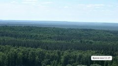 Заповедник «Присурский»: не дали искре разгореться в лесной пожар Заповедник «Присурский»: не дали искре разгореться в лесной пожар