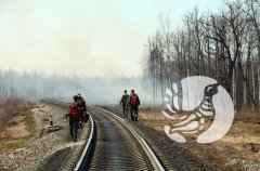 Проект «Заповедное Присурье – Для природы! Для людей!» Проект «Заповедное Присурье – Для природы! Для людей!»
