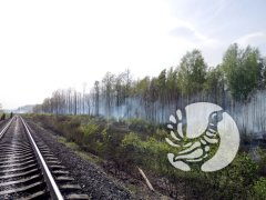 Проект «Заповедное Присурье – Для природы! Для людей!» Проект «Заповедное Присурье – Для природы! Для людей!»
