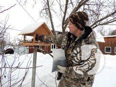 Фенологические заметки 2022: январь - хмурый и снежный Фенологические заметки 2022: январь - хмурый и снежный
