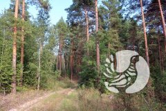 Заповедник «Присурский»: ко Дню действий в защиту рек, воды и жизни (14 марта) Заповедник «Присурский»: ко Дню действий в защиту рек, воды и жизни (14 марта)