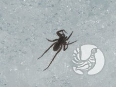 ���������� ������� �������� ���� ����� �� 23 �����