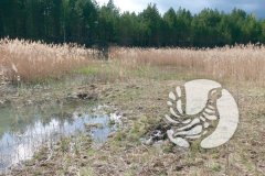 Заповедник «Присурский»: осмотрели объекты противопожарного обустройства Заповедник «Присурский»: осмотрели объекты противопожарного обустройства