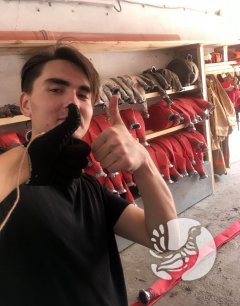 � ����������� ����������� ��������-����������� �������� ������ 