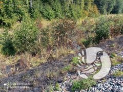 25 августа ликвидировано возгорание травы в полосе отчуждения участка Горьковской железной дороги (ГЖД) 25 августа ликвидировано возгорание травы в полосе отчуждения участка Горьковской железной дороги (ГЖД)
