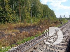 25 августа ликвидировано возгорание травы в полосе отчуждения участка Горьковской железной дороги (ГЖД) 25 августа ликвидировано возгорание травы в полосе отчуждения участка Горьковской железной дороги (ГЖД)