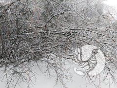 ����������� ��� � ���������� �����������: ��� ������� ������ �������
