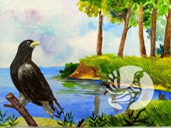 Подведены итоги республиканского этапа конкурса художественного творчества «Мир заповедной природы» в рамках международной акции «Марш парков–2023»