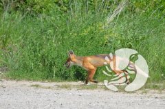 ���������� �����������: ����������� ������ � ��������� �������