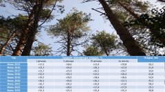 О погоде в заповеднике "Присурский": Июнь 2023 – холодный и сухой