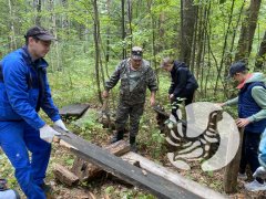 Заповедные волонтеры сделали важные для «Присурского» дела Заповедные волонтеры сделали важные для «Присурского» дела