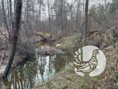 Есть научная задача – где живут бобры в заповеднике «Присурский» и сколько их? Есть научная задача – где живут бобры в заповеднике «Присурский» и сколько их?