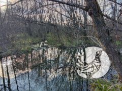 Есть научная задача – где живут бобры в заповеднике «Присурский» и сколько их? Есть научная задача – где живут бобры в заповеднике «Присурский» и сколько их?