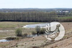 Заповедник «Присурский»: редкий вид обнаружен спустя столетие и на удалении в 750 км