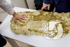 В Республиканской детско-юношеской библиотеки экспонируется фотовыставка заповедника «Присурский» В Республиканской детско-юношеской библиотеки экспонируется фотовыставка заповедника «Присурский»