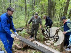 ���������� "����������": ����� 2023 - �������-���������������� ������������