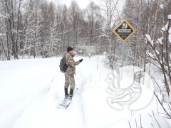 Зимние учеты в "Присурском": таких снегов давно не помнят здешние места…