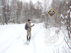 Зимние учеты в "Присурском": таких снегов давно не помнят здешние места… Зимние учеты в "Присурском": таких снегов давно не помнят здешние места…