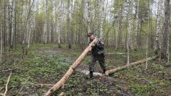 Свободные дороги - препятствие для лесного пожара Свободные дороги - препятствие для лесного пожара