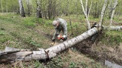 Свободные дороги - препятствие для лесного пожара Свободные дороги - препятствие для лесного пожара