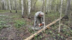 Свободные дороги - препятствие для лесного пожара Свободные дороги - препятствие для лесного пожара