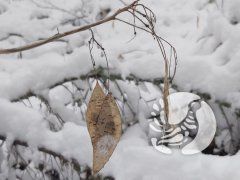 �������������� �������_2024: ������ - ����� ����������