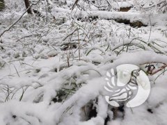 �������������� �������_2024: ������ - ����� ����������