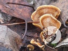 �������������� �������_2024: ������ - ����� ����������