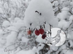 �������������� �������_2024: ������ - ����� ����������