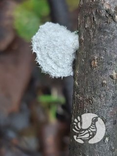 �������������� �������_2024: ������ - ����� ����������